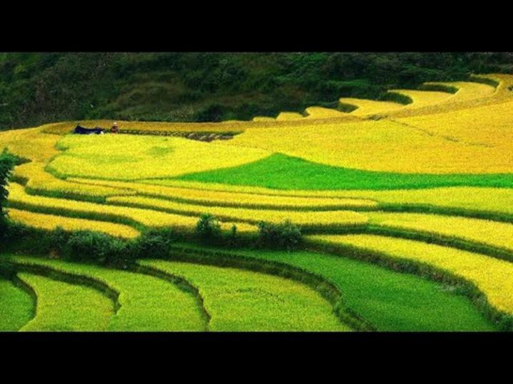 Tận hưởng FIFA Club World Cup - Cảm hứng video marketing từ Hotspot Matrix