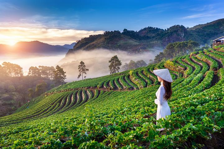 Từ 3 kiểu giày