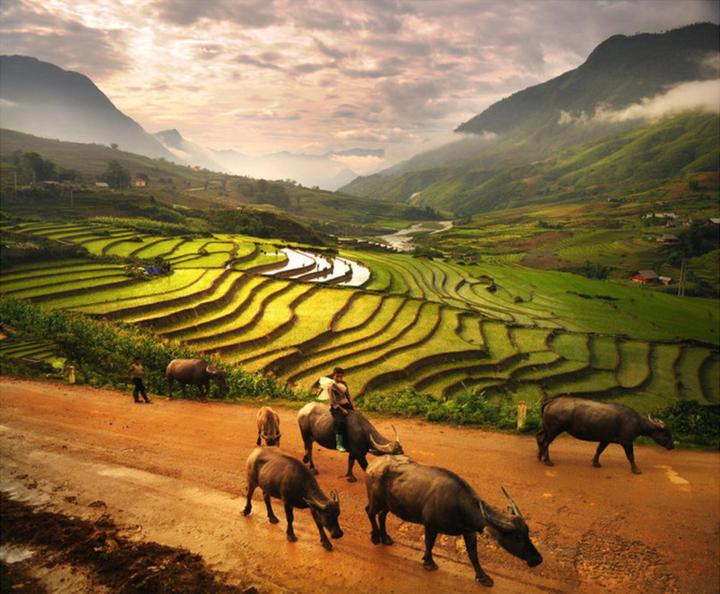 Mùa hè đang trở nên sôi động hơn với sự xuất hiện của chuỗi sự kiện