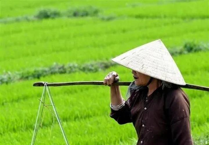 Xu hướng Tổng hợp sự kiện Apple: Giao: Hotspot Matrix tiết lộ bí quyết video viral