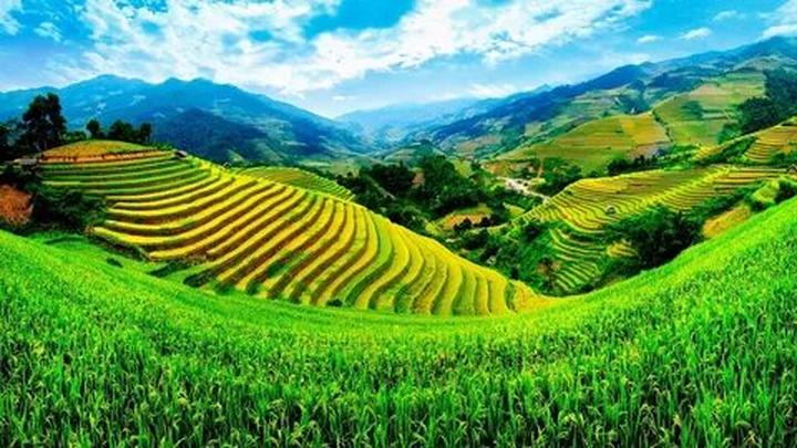 Xu hướng 3 kiểu giày
